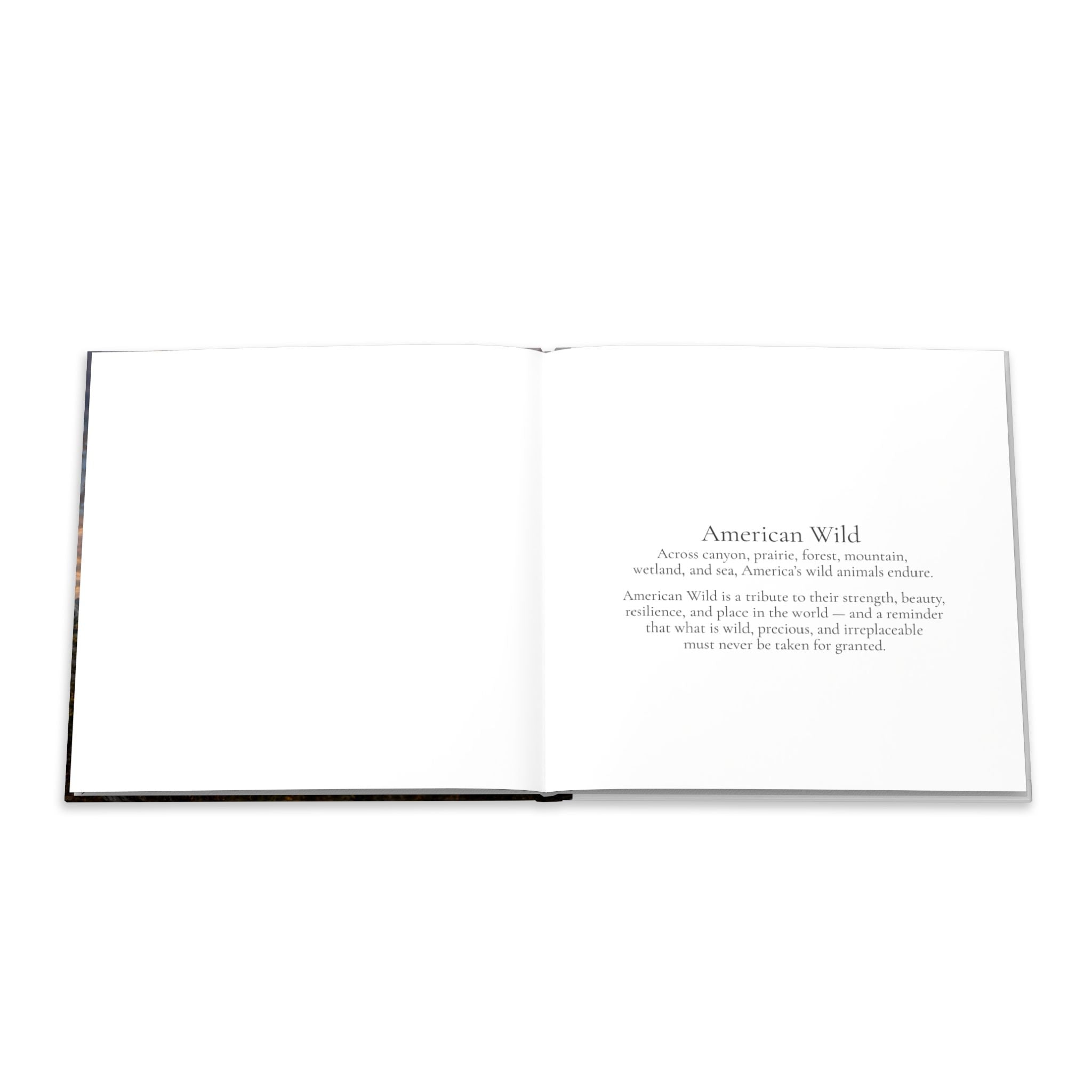 Hardcover Photo Book — "American Wild" Photography 8" x 8" Keepsake Book