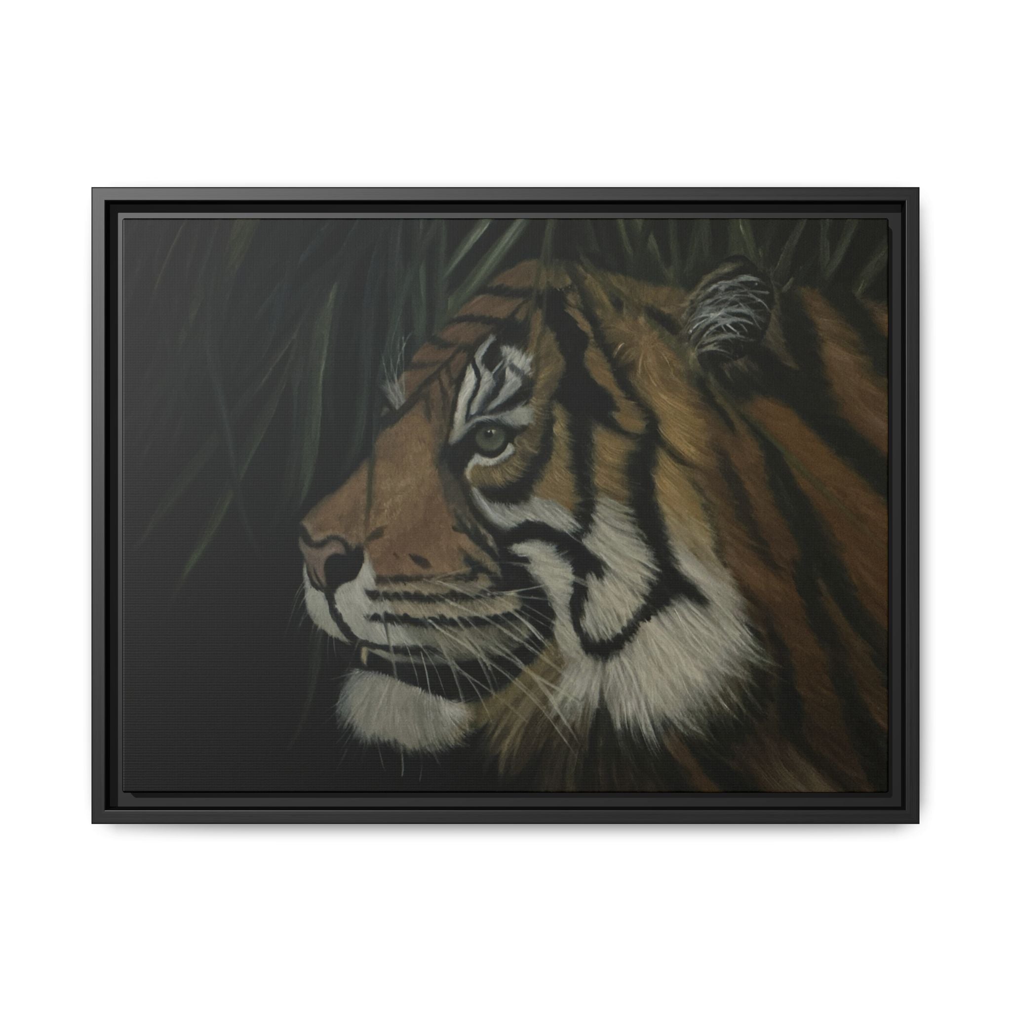 Tiger in the Shadows
