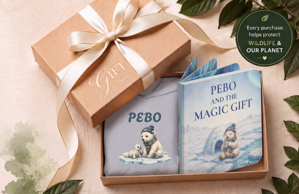 Pebo Storybook and Toddler Hoodie