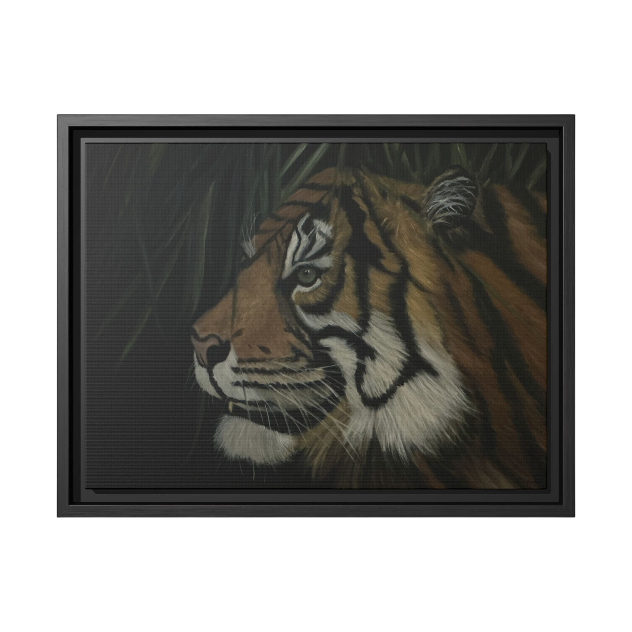 Tiger in the Shadows