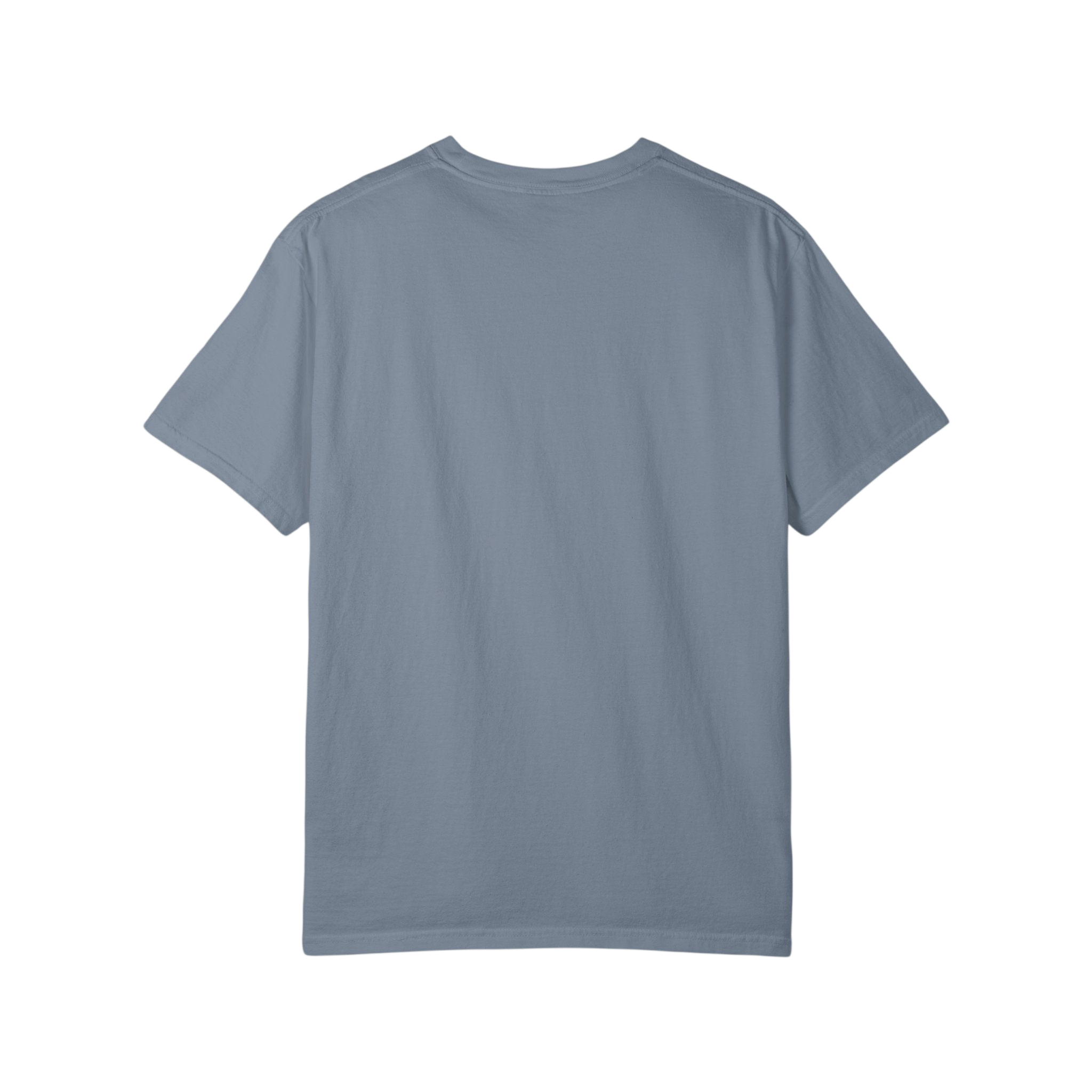 Humpback Whale Blue Graphic T-Shirt on Comfort Colors