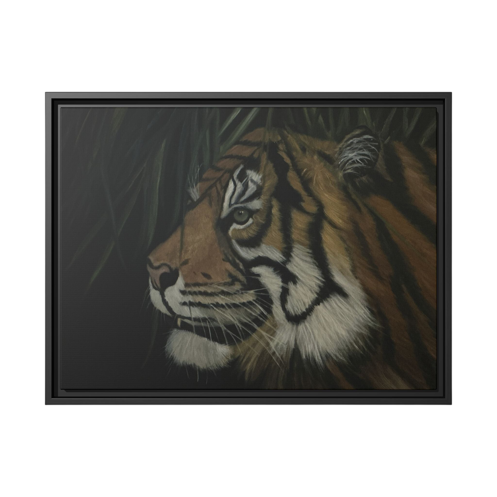 Tiger in the Shadows