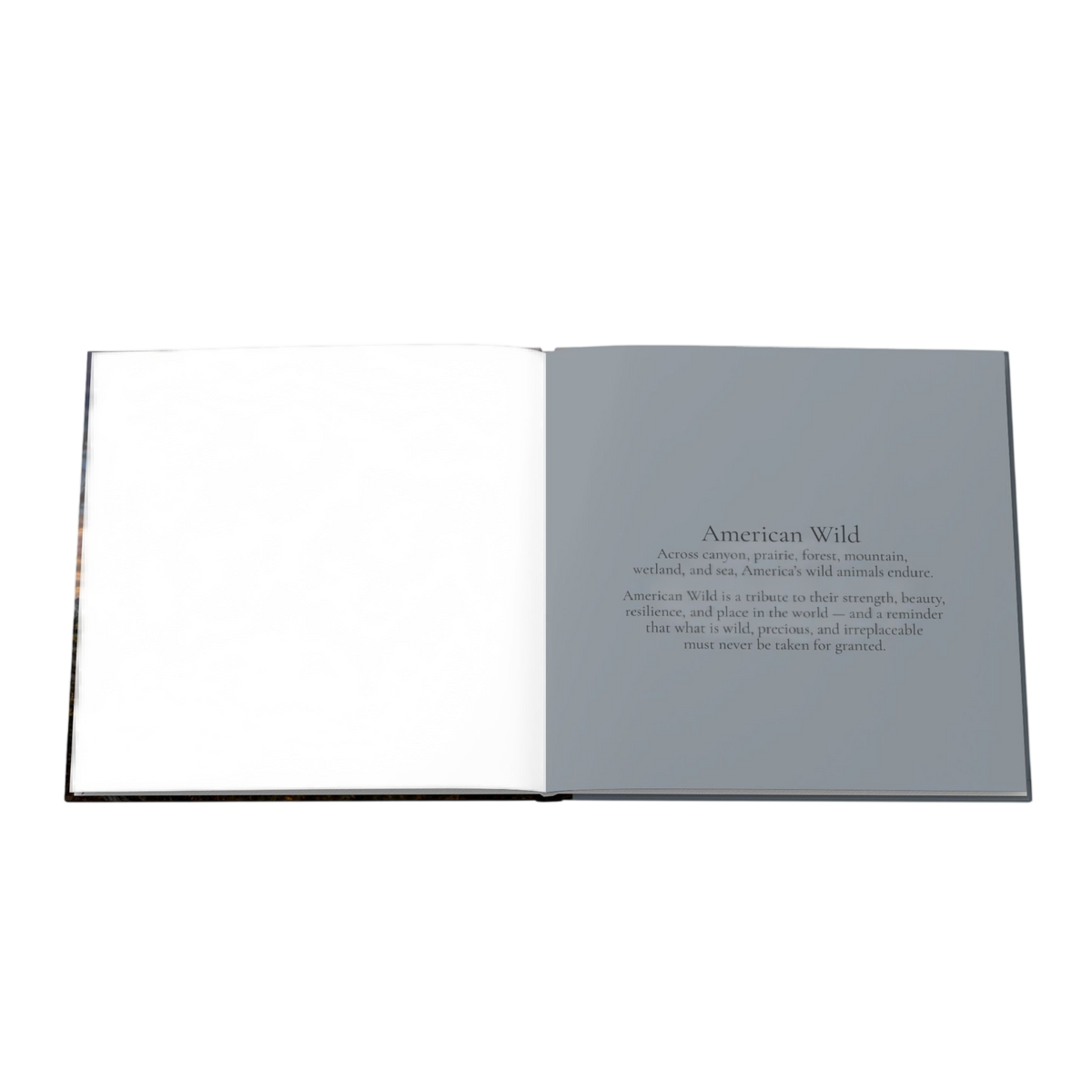 American Wild Photography Book