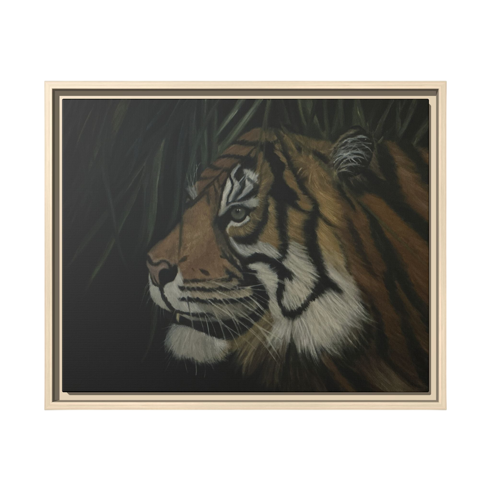 Tiger in the Shadows