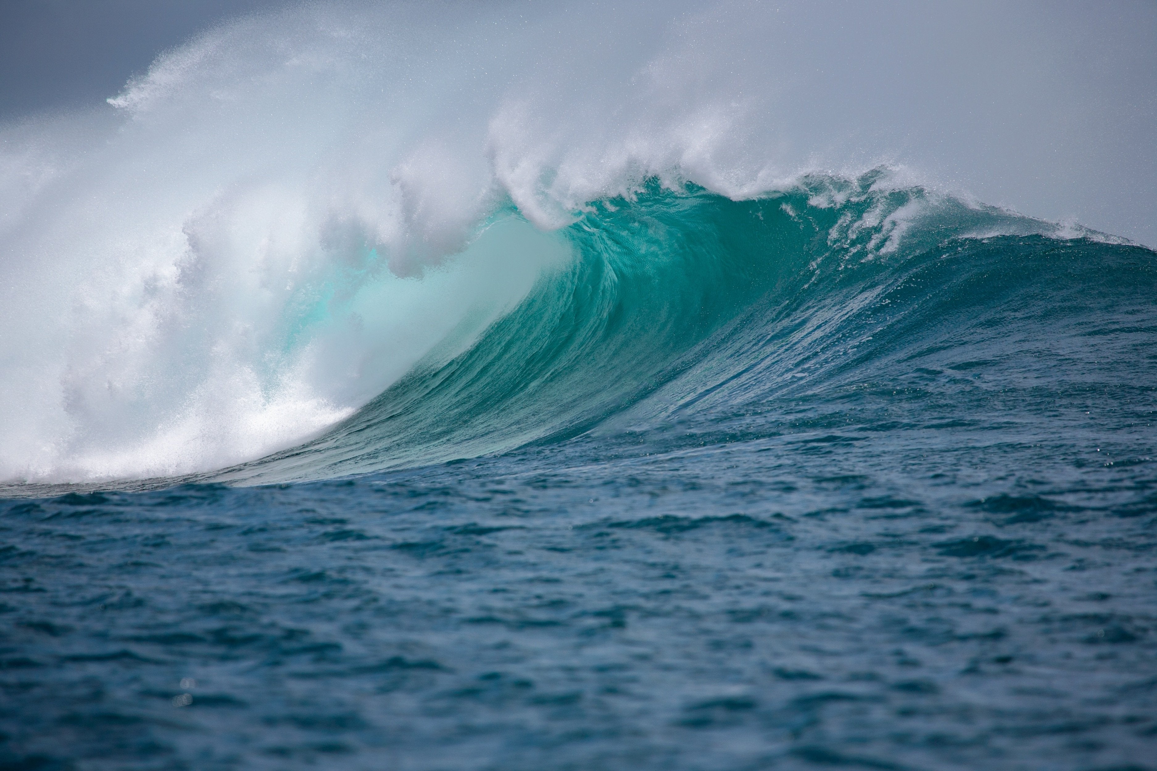 Save the Oceans