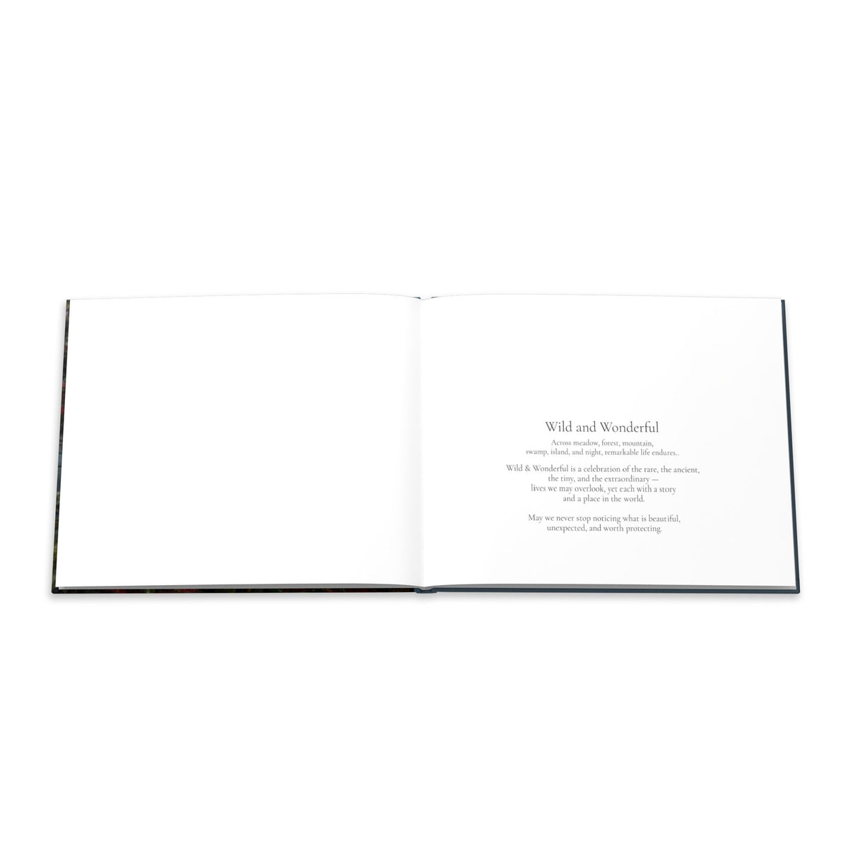 Hardcover Photo Book —Wild and Wonderful US