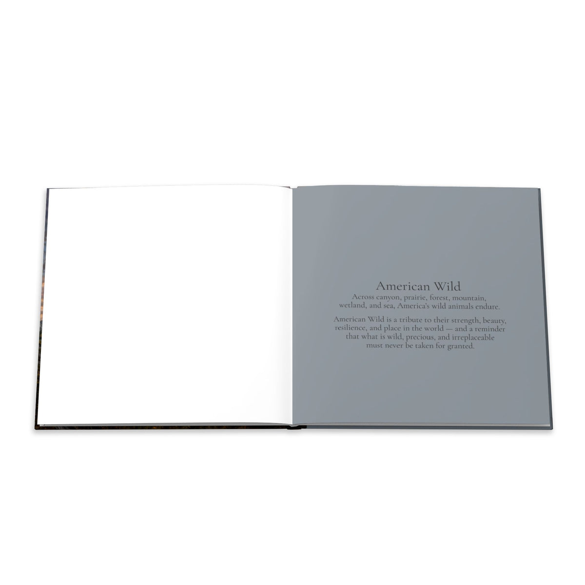 American Wild Photography Book