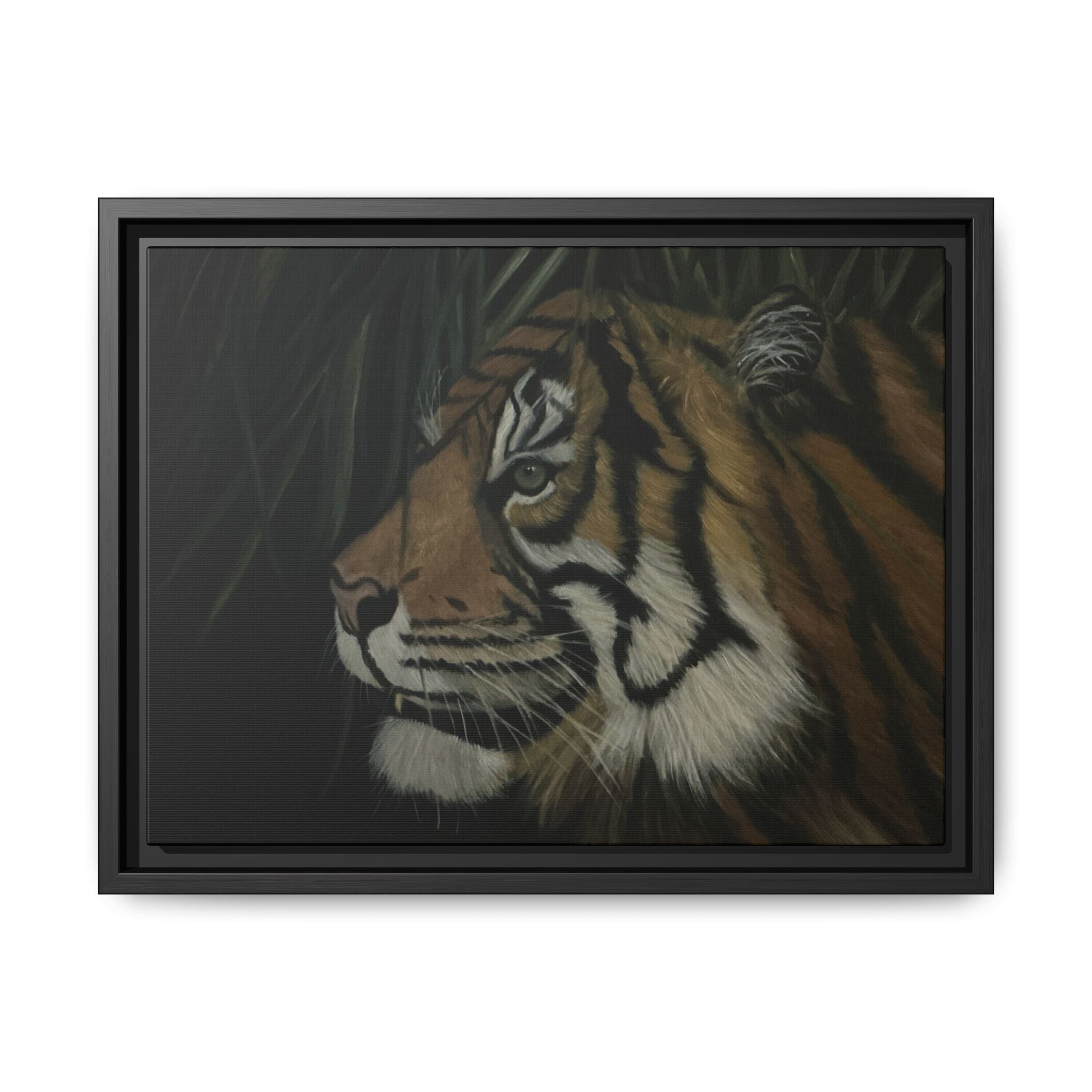 Tiger in the Shadows