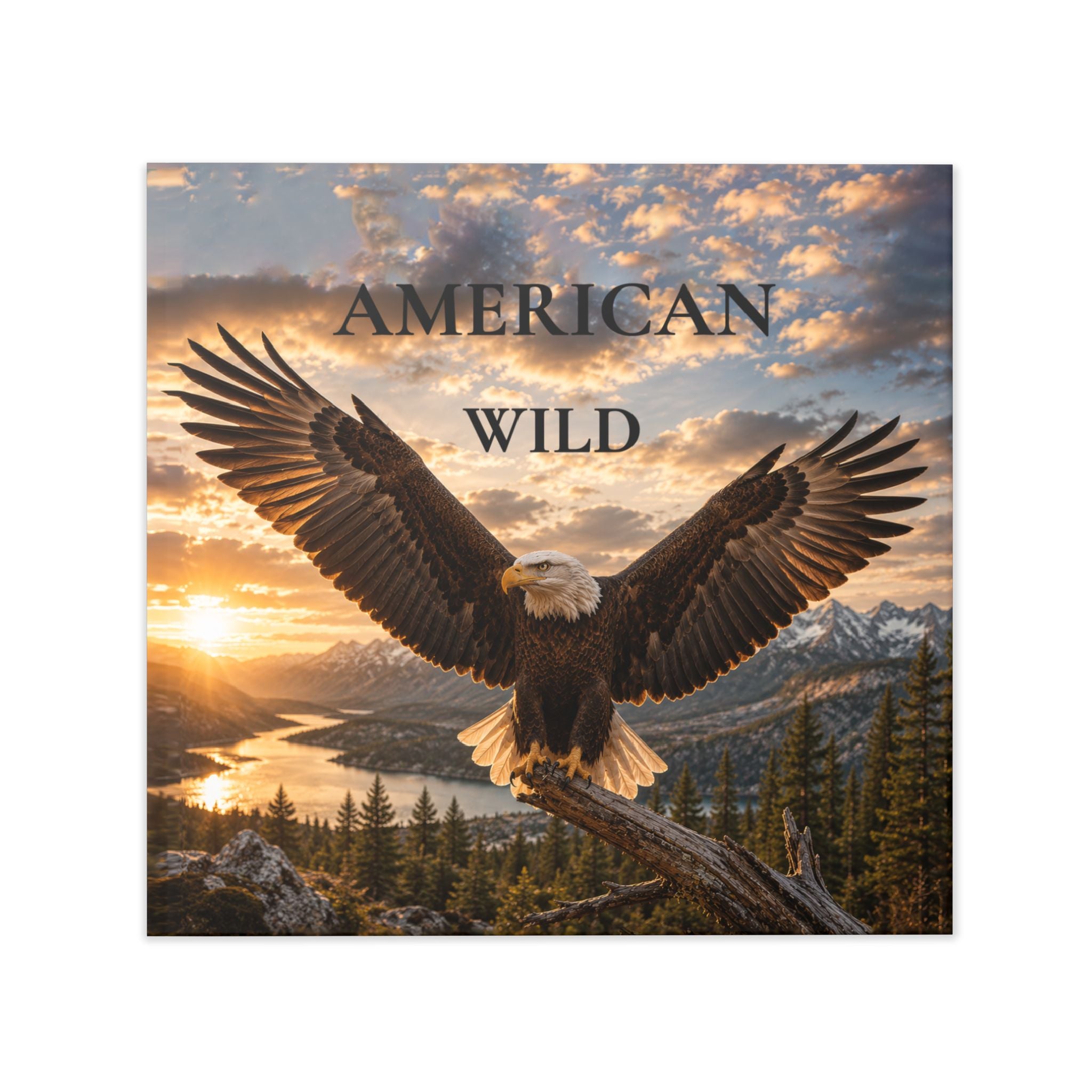 Hardcover Photo Book — "American Wild" Photography 8" x 8" Keepsake Book