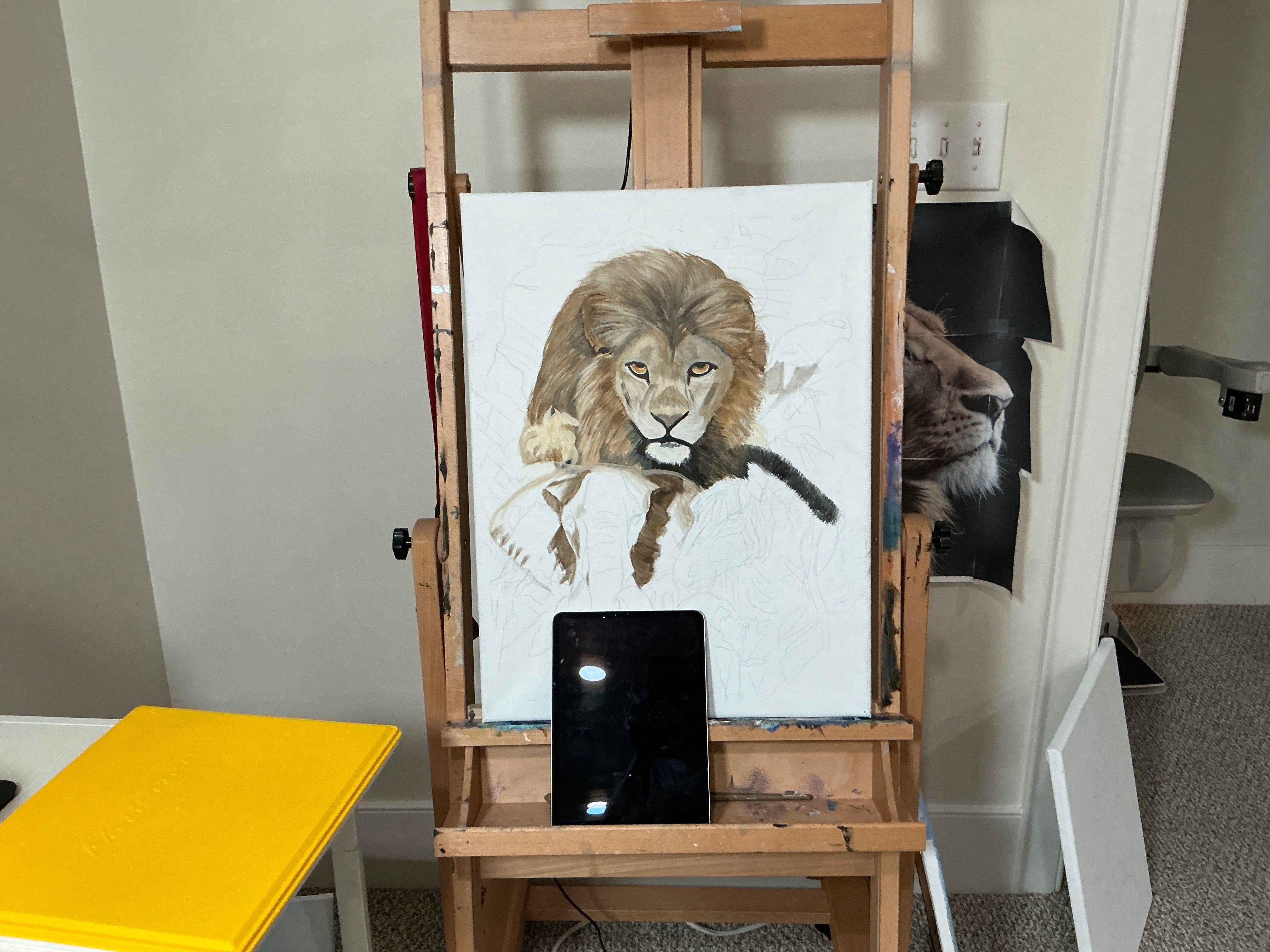 Safari Original