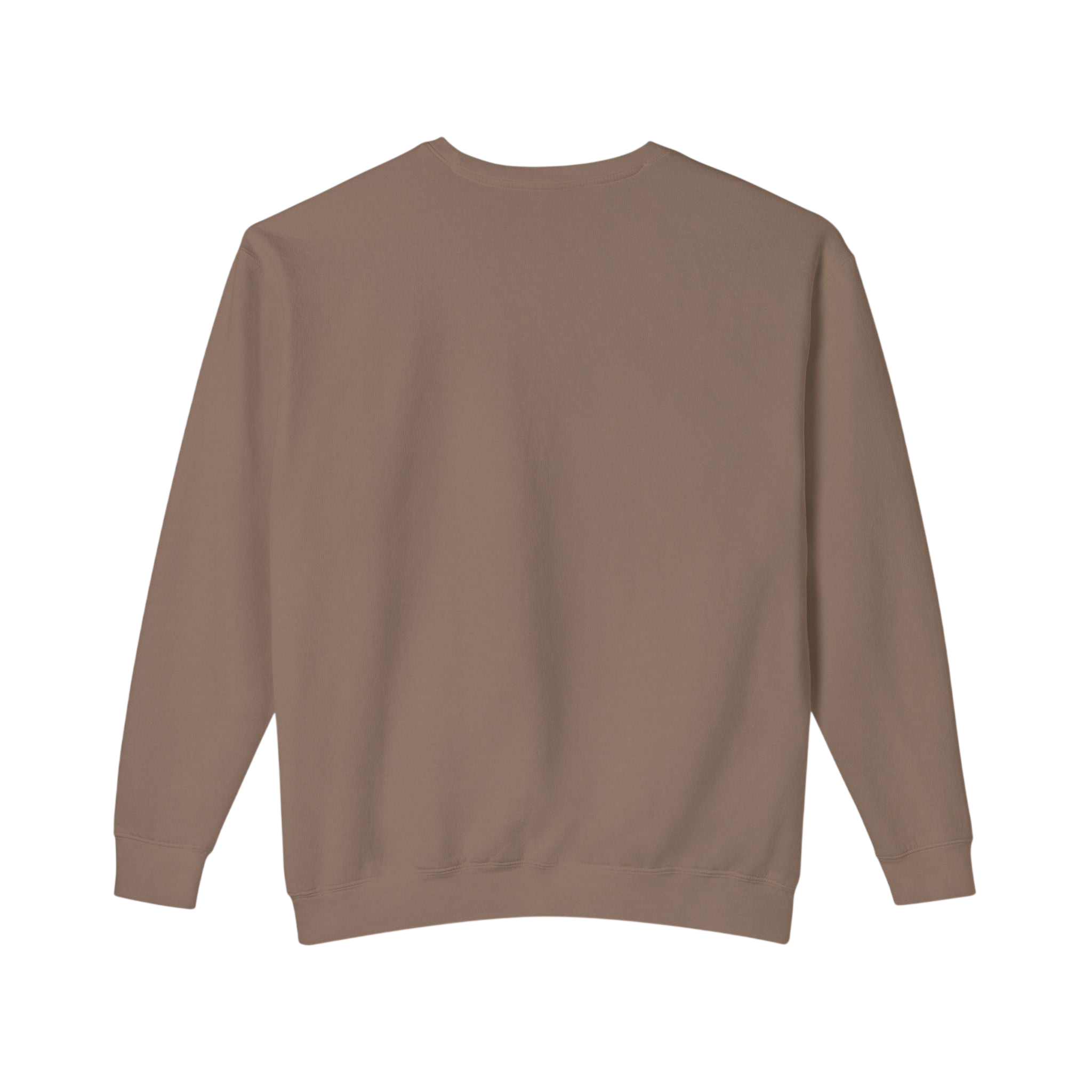 Sea Lion Watercolor Crewneck Sweatshirt — Espresso Coastal Animal Lover Pullover