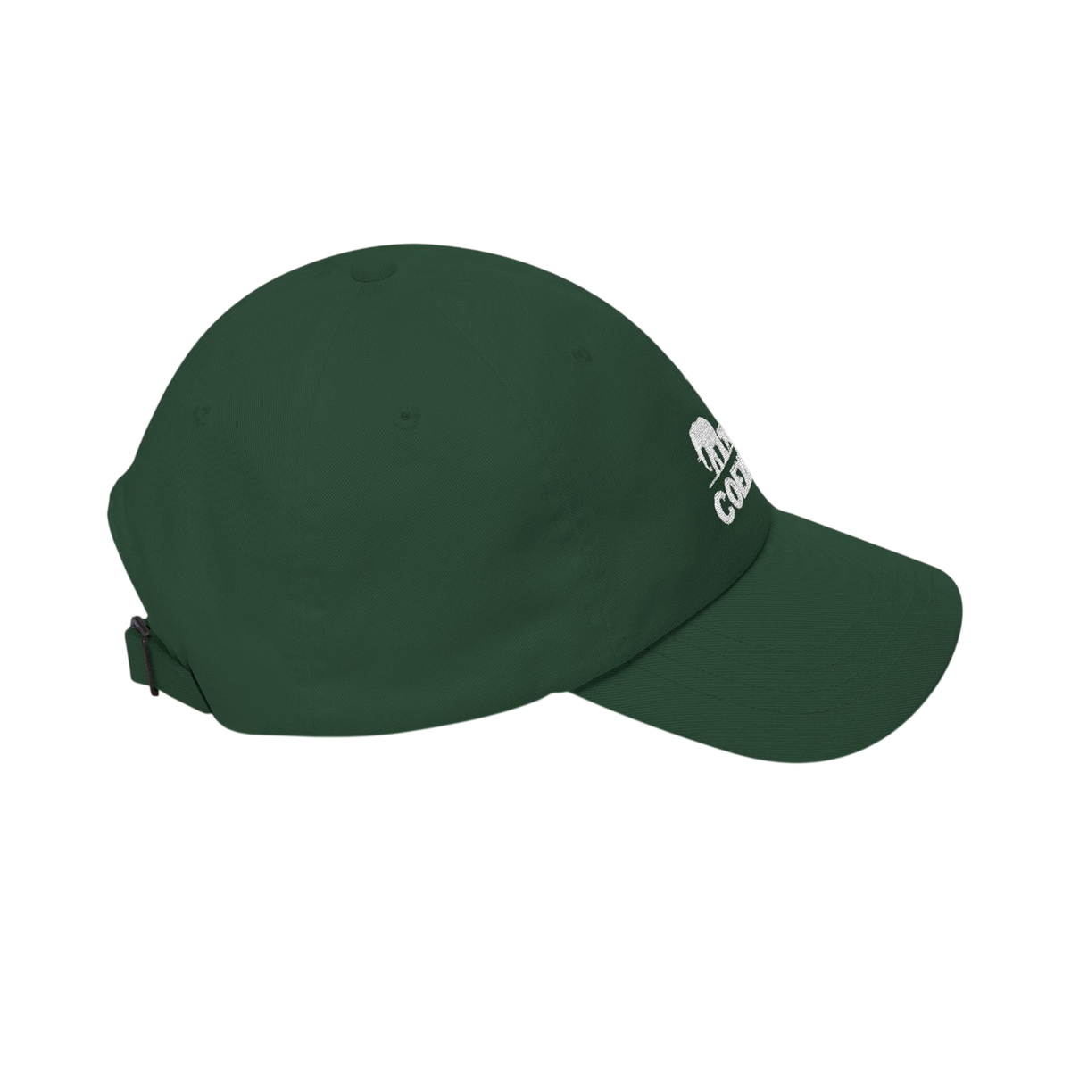 A dark green baseball cap with a white embroidered logo on the side, shown from a three-quarters angle against a plain white background.