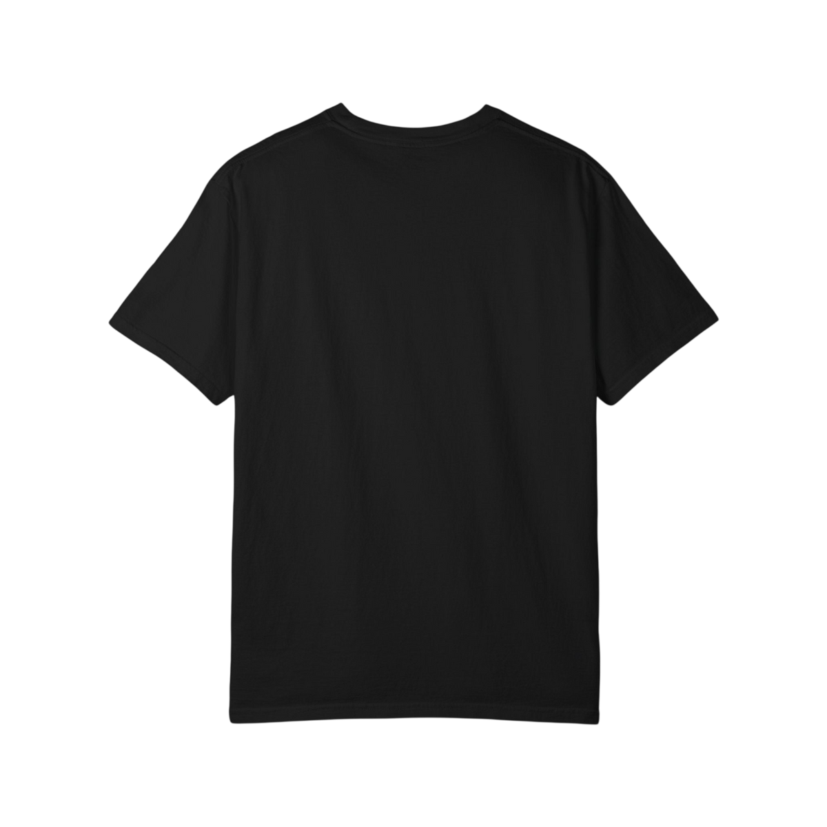 A plain black short-sleeve crewneck t-shirt shown from the back, centered on a solid white background.