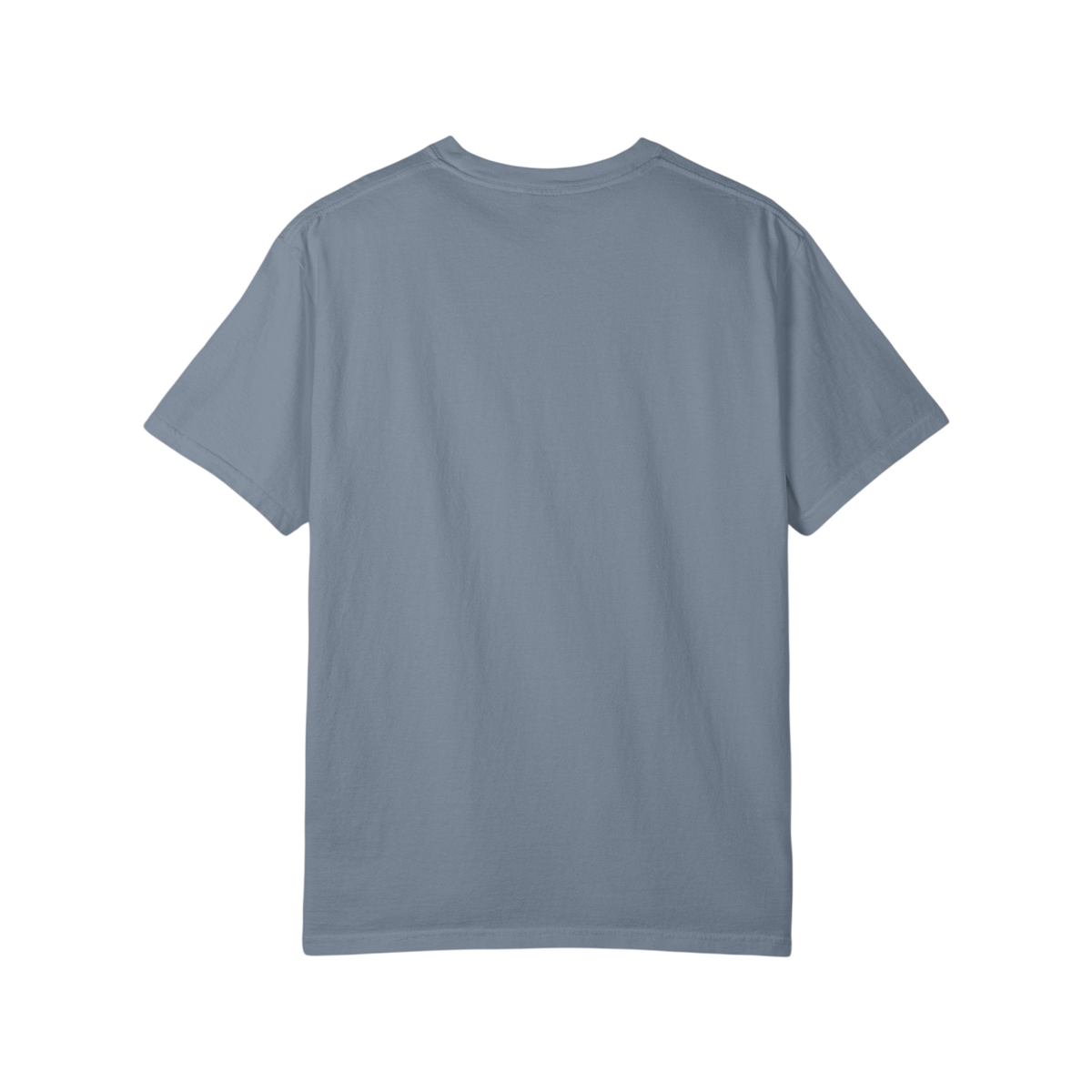 The World We Share Graphic T-Shirt on Comfort Colors