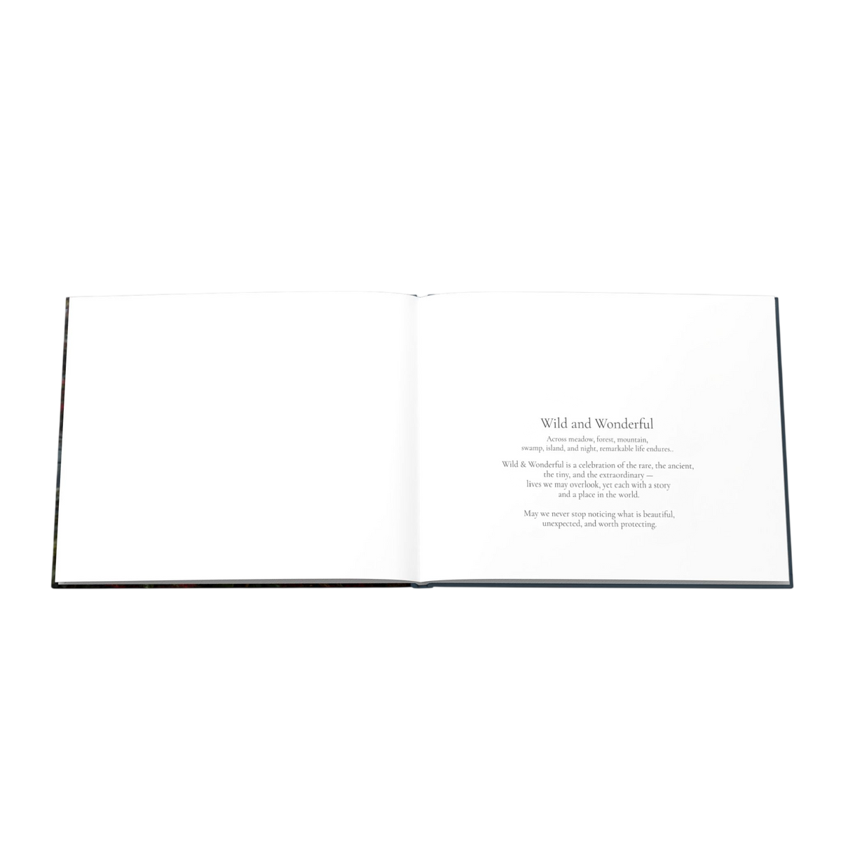 Hardcover Photo Book —Wild and Wonderful US