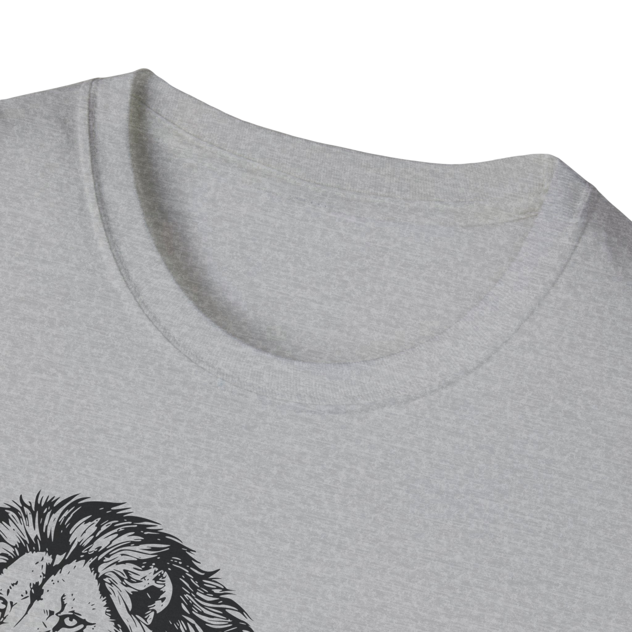 Lion Graphic Tee — Disappearing From the Earth